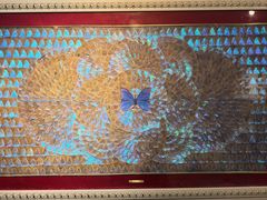 -上海昆虫博物馆