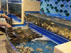 水产区-乔哥铭洋海鲜自助(皇城恒隆广场店)