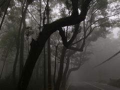 -缙云山景区