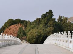 -颐和园