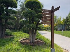 -西海子公园