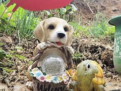 -鱼乐岛餐厅·户外花园主题餐厅