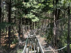 -长春净月潭风景名胜区