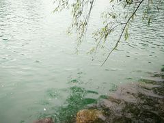 -石燕湖生态旅游景区