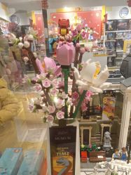 -乐高授权专卖店(中关村领展店)