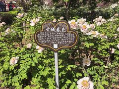-洛阳市隋唐城遗址植物园