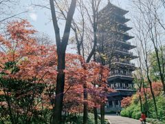 -宜兴龙背山森林公园