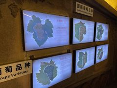 -青岛葡萄酒博物馆