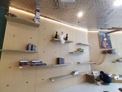 -飞行喵MR PILOT|猫舍·猫咖(静安大融城店)
