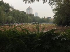 -包公祠