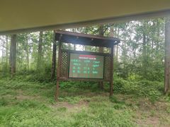 -黄海国家森林公园