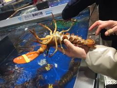 -盒马鲜生(莱蒙都会店)