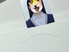-小树照相馆·证件照(打浦桥店)