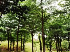 -松山湖风景区松湖烟雨