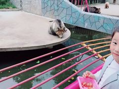 -贵州森林野生动物园