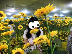 -天津梵高星空艺术馆(天河城旗舰店)