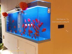 -宫七SPA·高端Massage(浦东大道店)