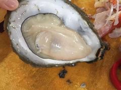 蚝-蚝专家(北滘店)
