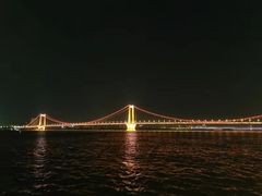 -武汉两江游览·夜游长江(汉口粤汉码头)