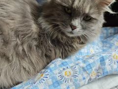 -美联众合动物医院·24h京西诊疗中心