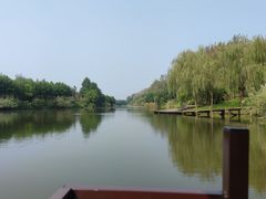 -合肥滨湖国家森林公园