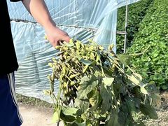 -小乡小镇·传承桐庐土菜·老板亲自烧的菜