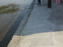 -同銮特种养殖场·龙虾垂钓