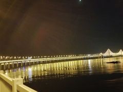 -星海湾跨海大桥
