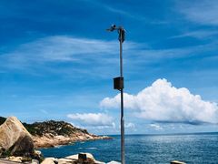 -广东惠东海龟国家级自然保护区