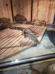 -未来动物城动物主题公园(大悦城店)