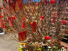 -渔米粥(罗湖店)