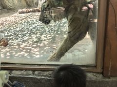 -南昌动物园