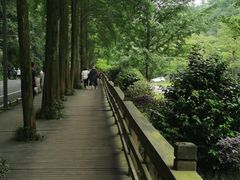 -青城山