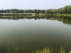 -东郊湿地公园