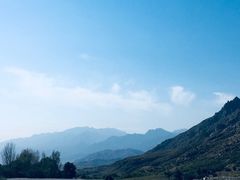 -国强手抓(西夏区店)