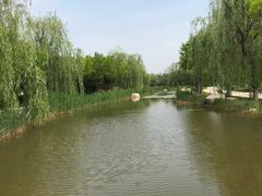 -武清南湖绿博园