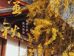 -金堂县云顶石城风景区