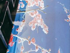-大成活海鲜烧烤龙虾(静安大融城店)