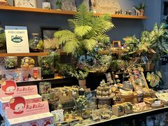 -Sirena海妖日咖夜酒