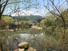 -溪口-滕头旅游景区