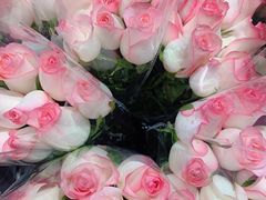 -循礼门鲜花花市(武汉循礼门店)