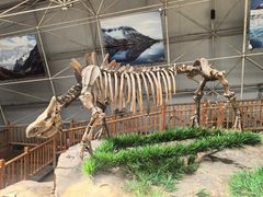 -中国第四纪冰川遗迹陈列馆