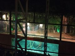 景点-清迈夜间动物园