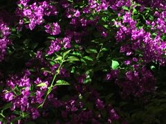 -江南赋(内蒙古大厦店)