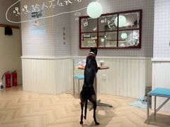 -观音桥步行街