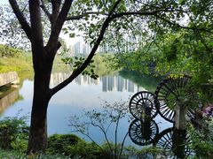-重庆彩云湖湿地公园