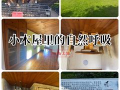 -金山农民画村-枫泾波兰倒置屋