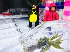 -宁波冰雪大世界(北仑区)