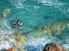 -西涌国际滨海旅游区