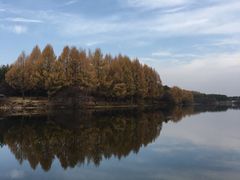 -塞罕坝国家级自然保护区